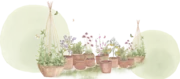Aquarelle d’un potager en pots : haricots sur tipis, aromatiques, fleurs et papillons