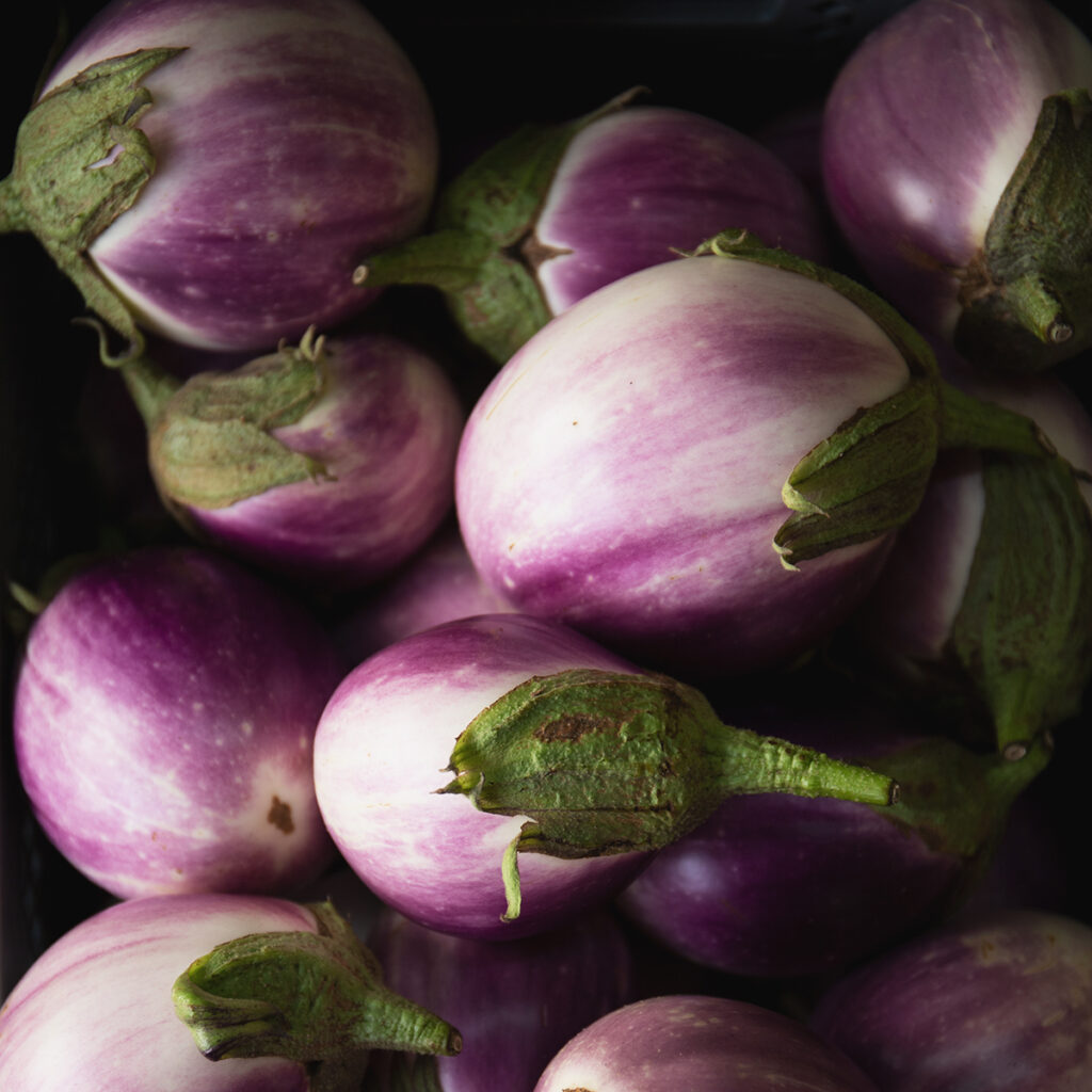 Aubergine Rotonda - BIO