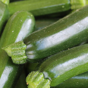 Courgette Black Beauty - BIO