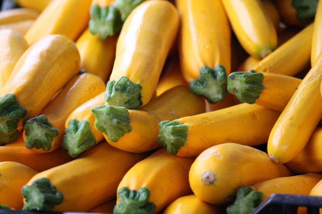 Courgette Jaune - BIO