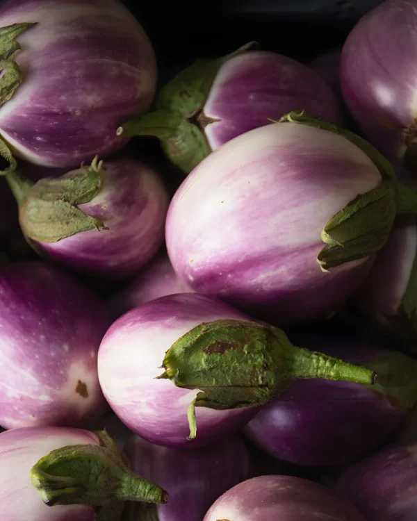 Aubergines Rotonda blanches et violettes