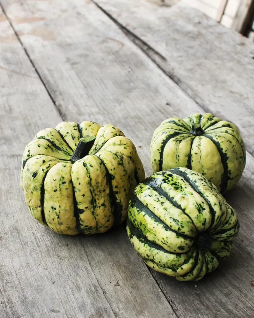 Courges Patidou Sweet Dumpling sur une table en bois
