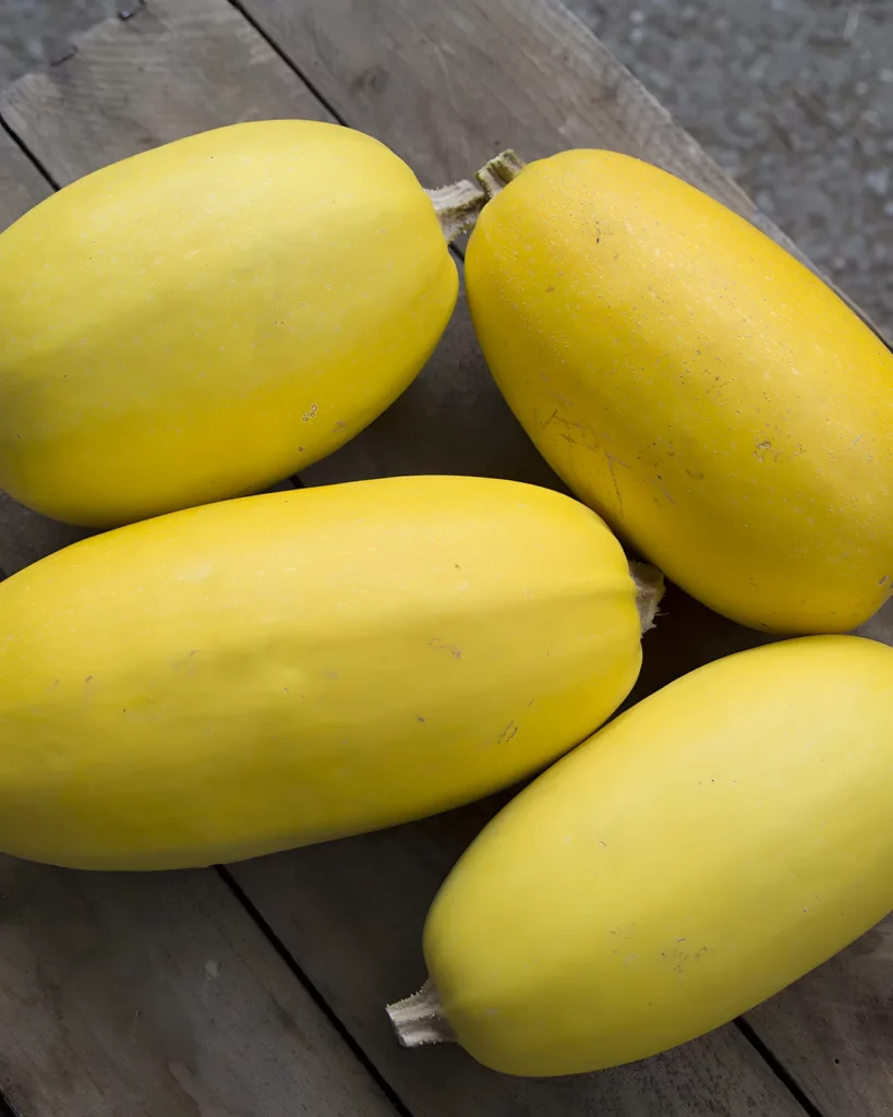 Courges spaghetti jaunes sur une table en bois