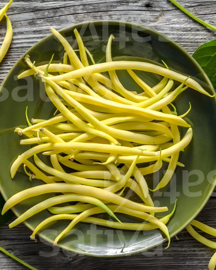 Haricots beurre Creso jaunes dans une assiette