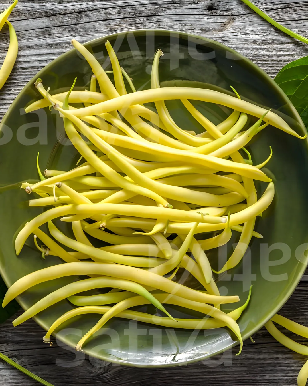 Haricots beurre Creso jaunes dans une assiette