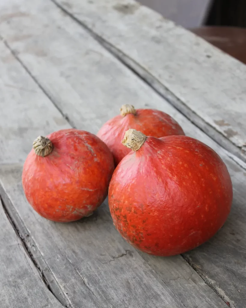 Potimarrons Red Kuri sur une table en bois