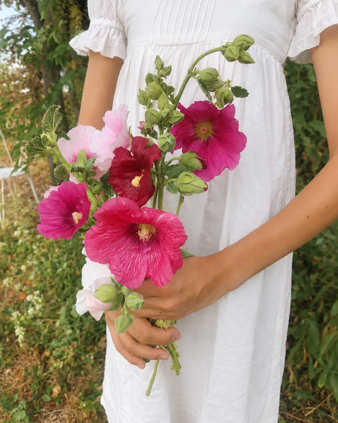 Bouquet de roses trémières tenu à la main