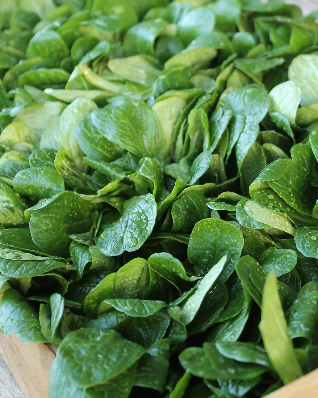 Mâche verte à cœur plein en cagette