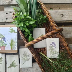 Coffret les aromatiques - BIO