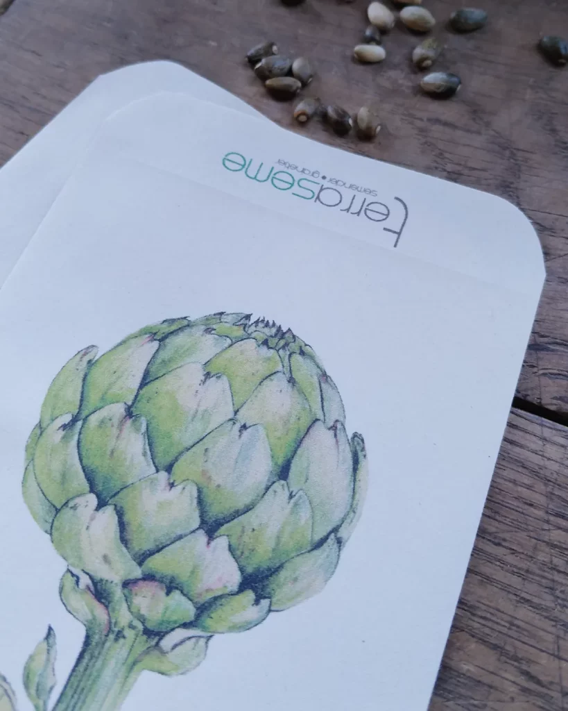 Sachet illustré Terraseme d'artichaut Imperial Star et graines sur une table en bois