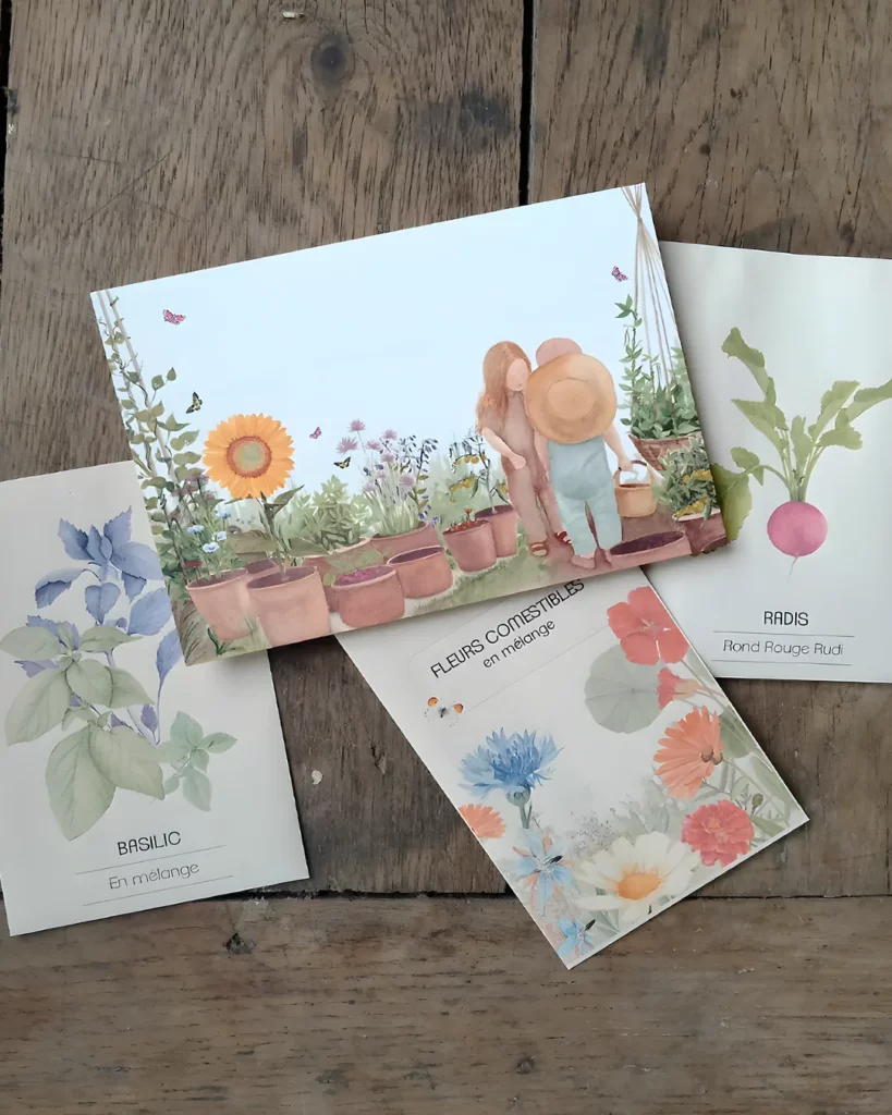 Carte postale jardin d'enfants et trois sachets de graines illustrés