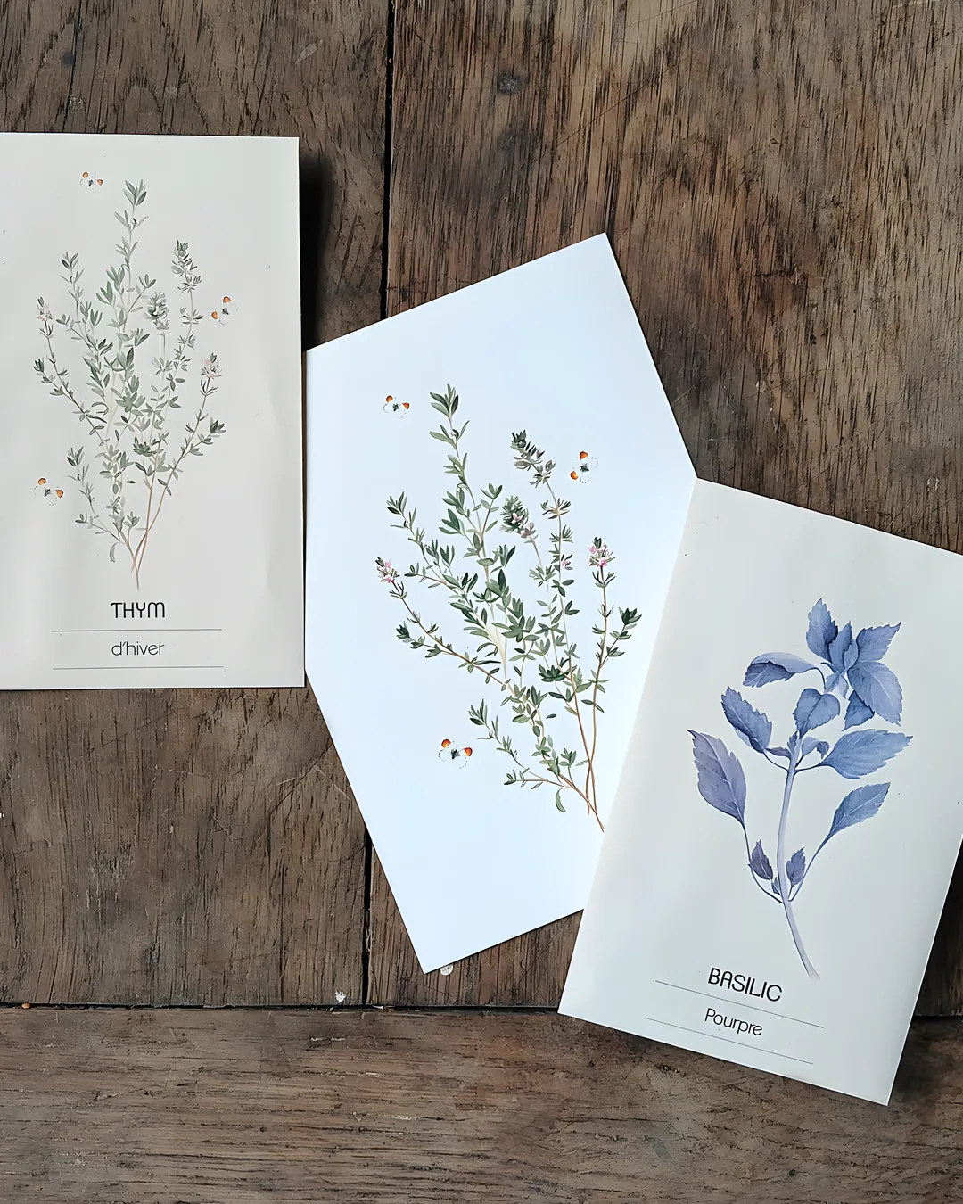 Carte postale thym aux papillons et sachets de graines illustrés