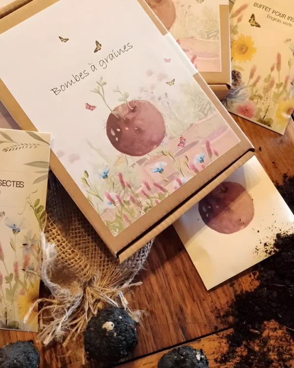 Coffret bombes à graines illustré et ses bombes de terre