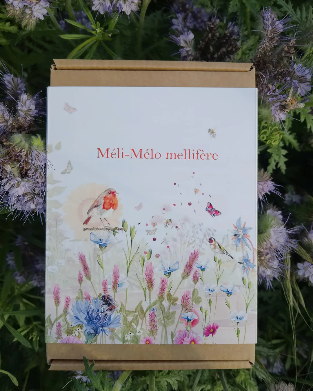 Boîte du coffret méli-mélo mellifère illustrée d'un rouge-gorge
