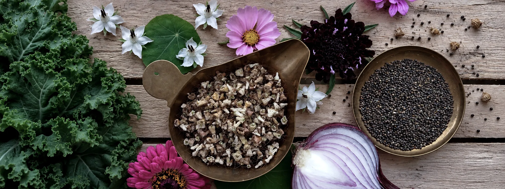 Graines de TerraSeme dans une coupelle en laiton, fleurs comestibles, chou kale et oignon rouge sur une table en bois