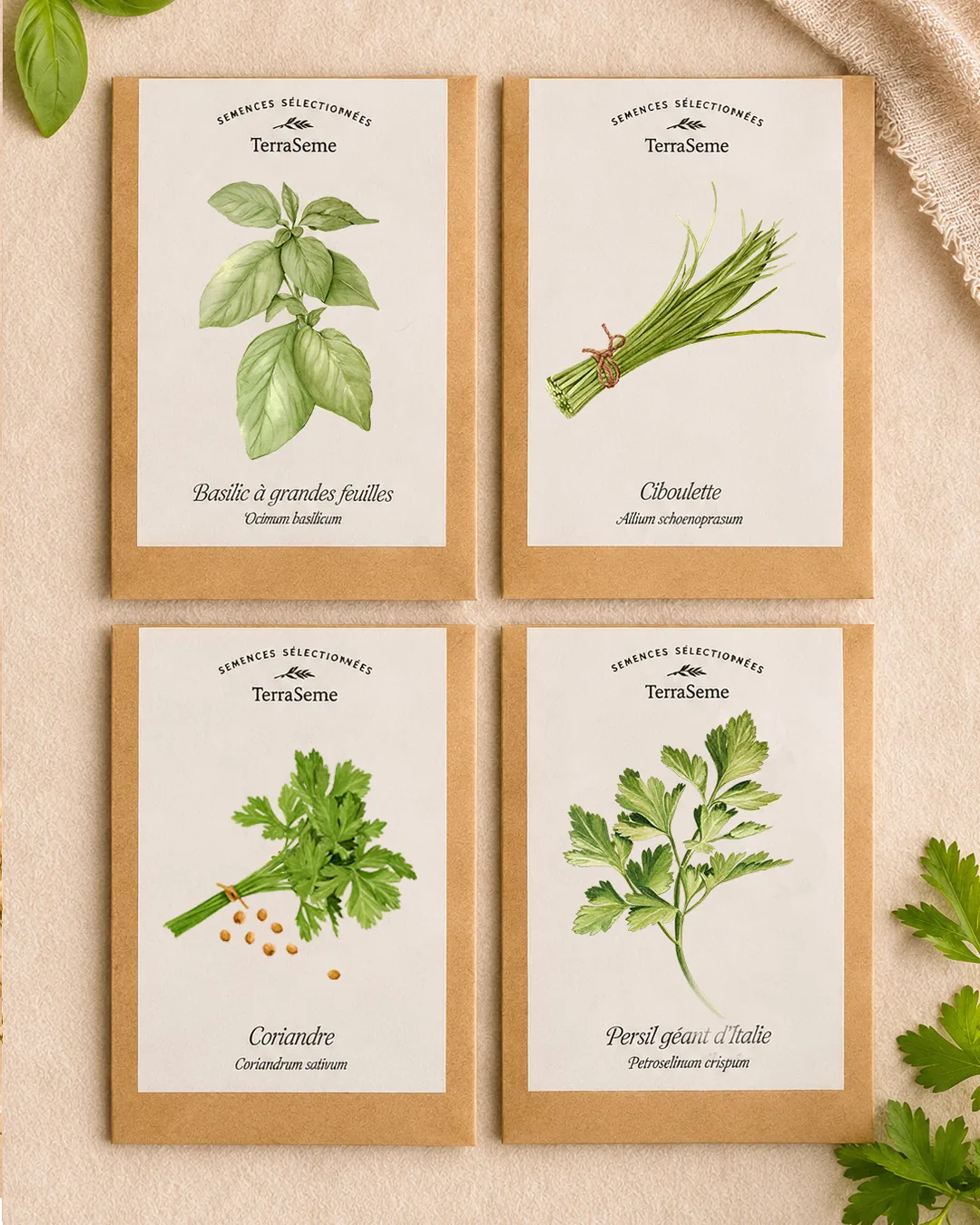 Les quatre sachets illustrés du coffret Mon jardin aromatique : basilic à grandes feuilles, ciboulette, coriandre et persil géant d’Italie