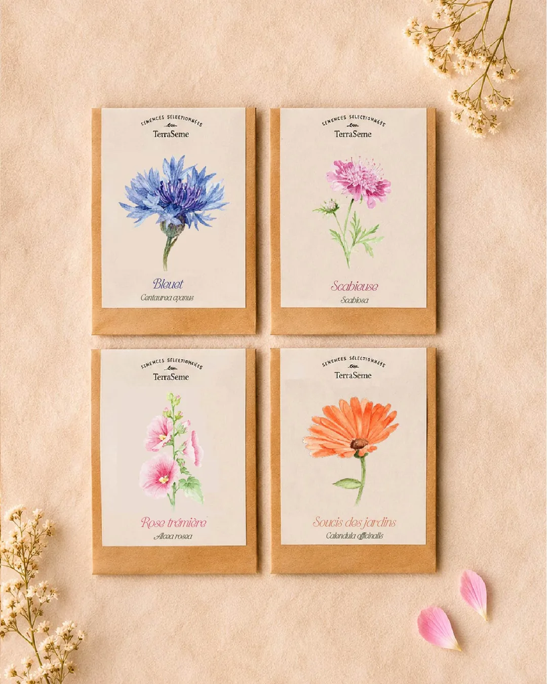 Les quatre sachets illustrés du coffret Mon jardin fleuri : bleuet, scabieuse, rose trémière et souci des jardins