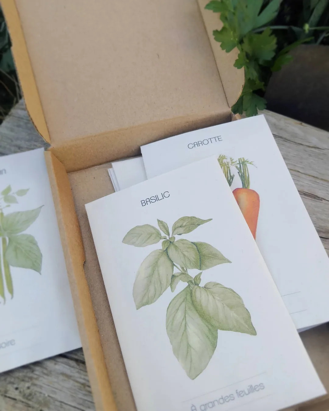 Coffret Potager de printemps ouvert sur ses sachets illustrés de basilic et de carotte
