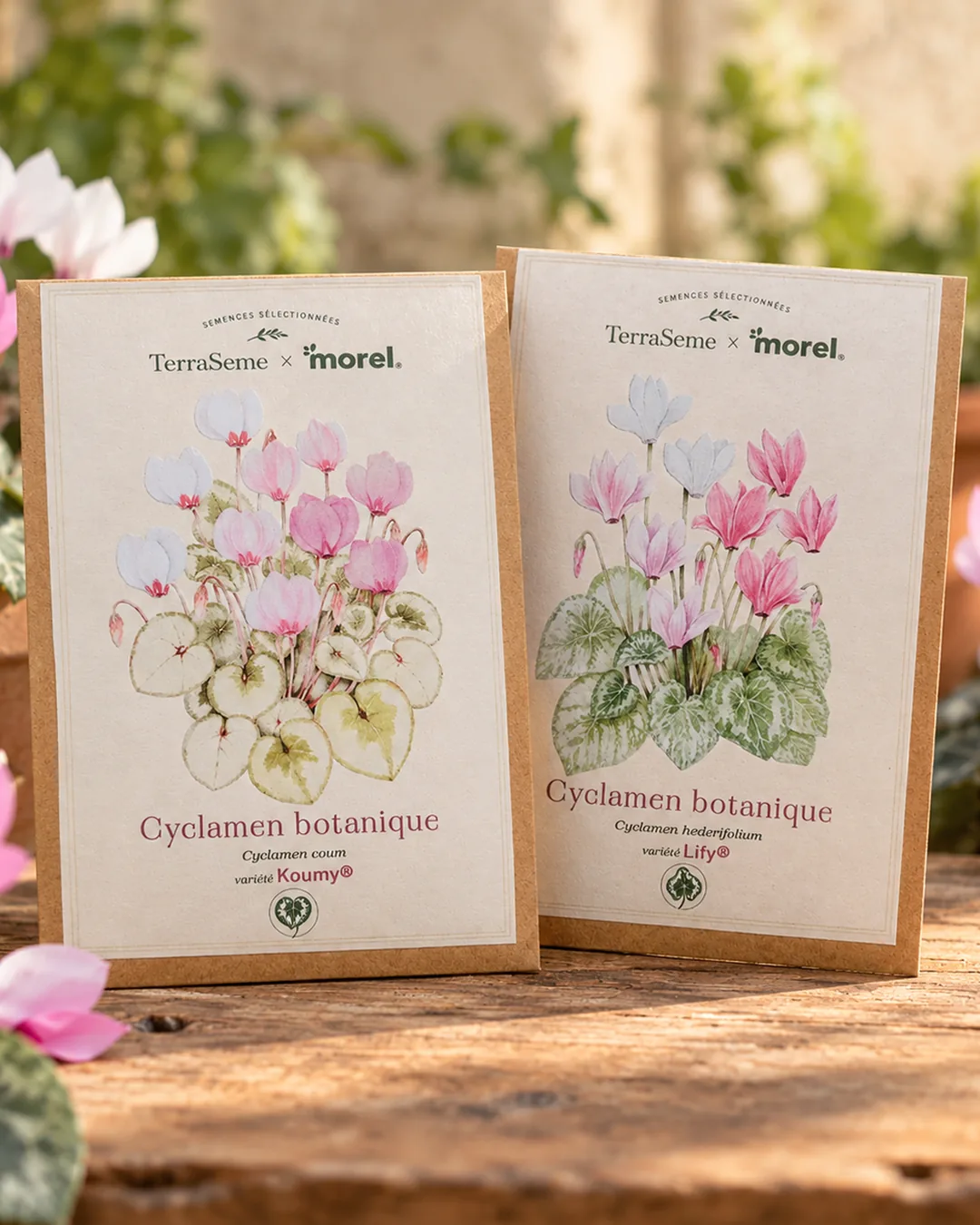 Sachets de graines de cyclamens botaniques KOUMY® et LIFY® côte à côte